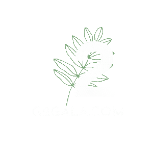 IMG-LOGO