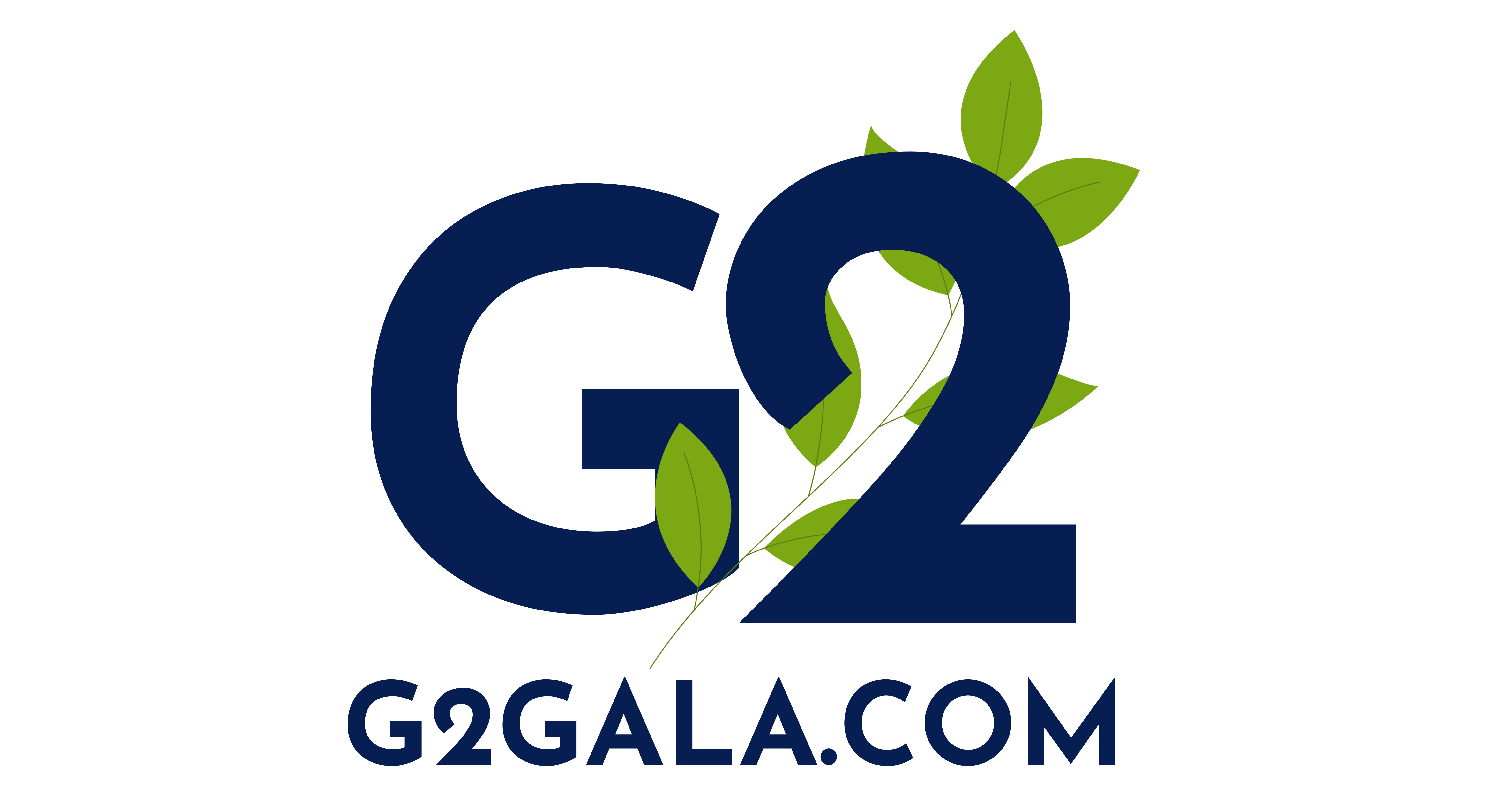 IMG-LOGO
